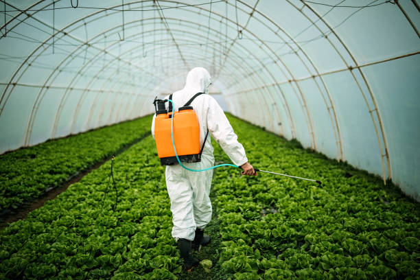Best Best Pest Control Companies  in Blawnox, PA