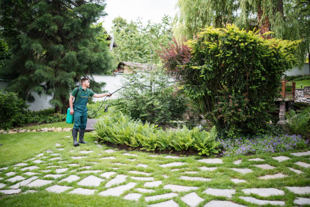 Best Mosquito Control Services  in Blawnox, PA