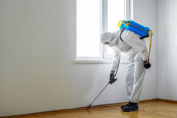 Best Flea Control Services  in Blawnox, PA