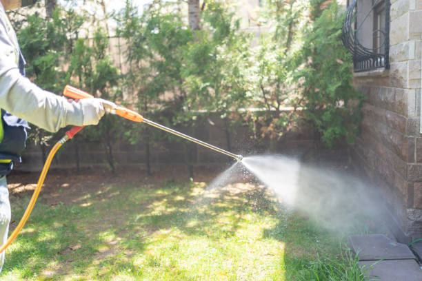 Best Flea Control Services  in Blawnox, PA